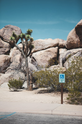 Jennifer Marke Photography