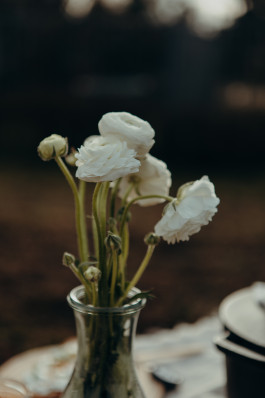 Jennifer Marke Photography