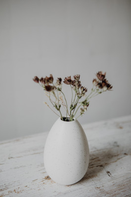 Jennifer Marke Photography