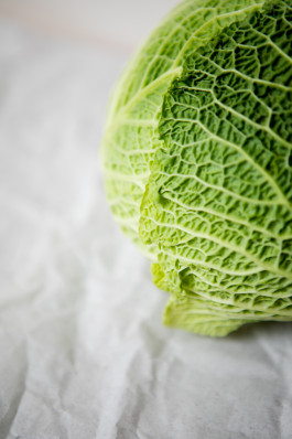 Jennifer Marke Photography