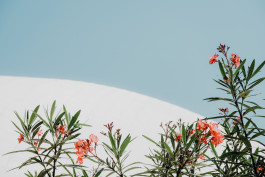 Jennifer Marke Photography