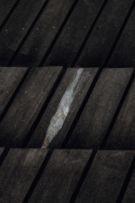 Jennifer Marke Photography