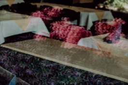 Jennifer Marke Photography