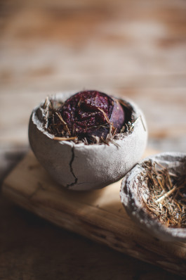 Jennifer Marke Photography