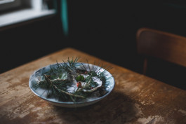 Jennifer Marke Photography