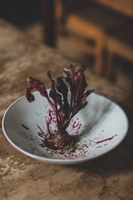 Jennifer Marke Photography