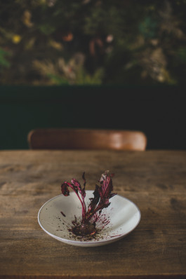 Jennifer Marke Photography