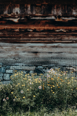 Jennifer Marke Photography