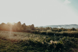 Jennifer Marke Photography