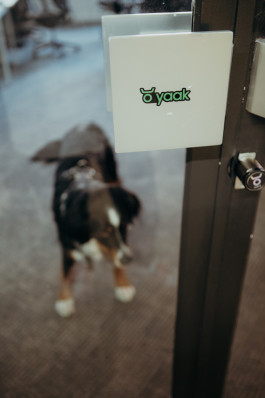 Jennifer Marke Photography