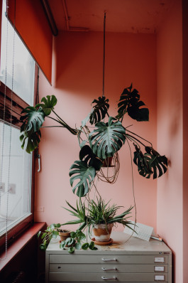 Jennifer Marke Photography