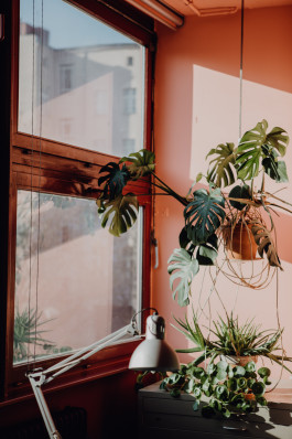 Jennifer Marke Photography