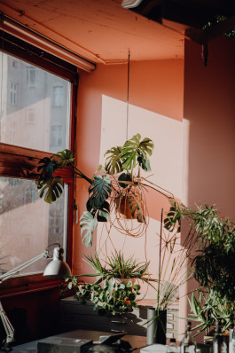 Jennifer Marke Photography