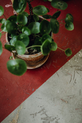 Jennifer Marke Photography