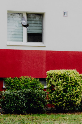 Jennifer Marke Photography