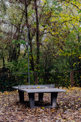 Jennifer Marke Photography