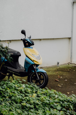 Jennifer Marke Photography