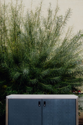 Jennifer Marke Photography