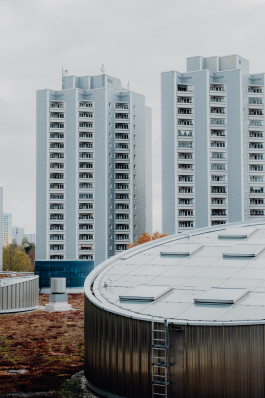 Jennifer Marke Photography