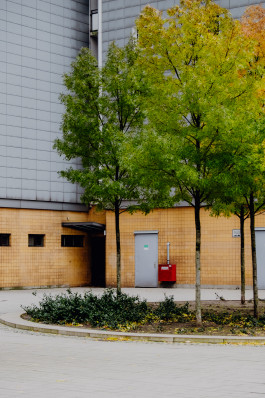 Jennifer Marke Photography