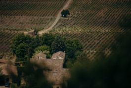 Jennifer Marke Photography