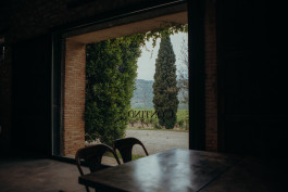 Jennifer Marke Photography