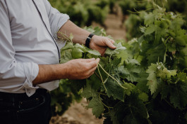 Jennifer Marke Photography