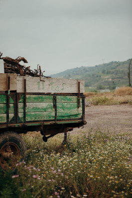 Jennifer Marke Photography