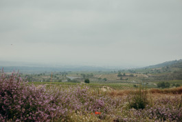 Jennifer Marke Photography